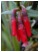 DSCN3782.JPG