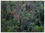 DSCN3783.JPG