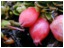 DSCN5024.JPG