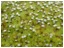 DSCN5344.JPG