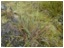 DSCN5721.JPG