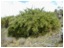 DSCN6890.JPG